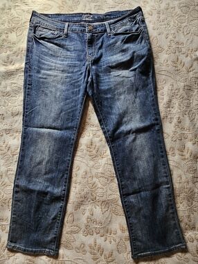 Signature by Levi's Dark Wash Straight Leg Jeans Size 14